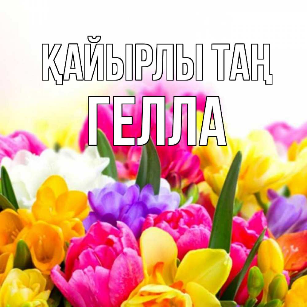 Күн сайын ашық хат с именем, Гелла Қайырлы таң создать открытку со свое подписью Онлайн тегін жүктеп алу тілектері бар керемет карта 