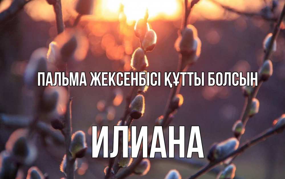 Күн сайын ашық хат с именем, Илиана Пальма жексенбісі құтты болсын верба Онлайн тегін жүктеп алу тілектері бар керемет карта 