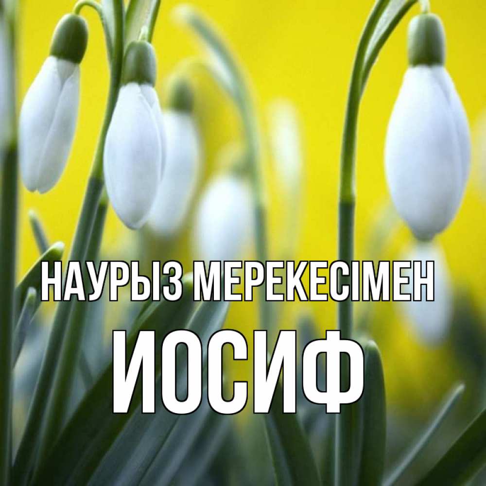 Күн сайын ашық хат с именем, Иосиф Наурыз мерекесімен весенние цветы Онлайн тегін жүктеп алу тілектері бар керемет карта 