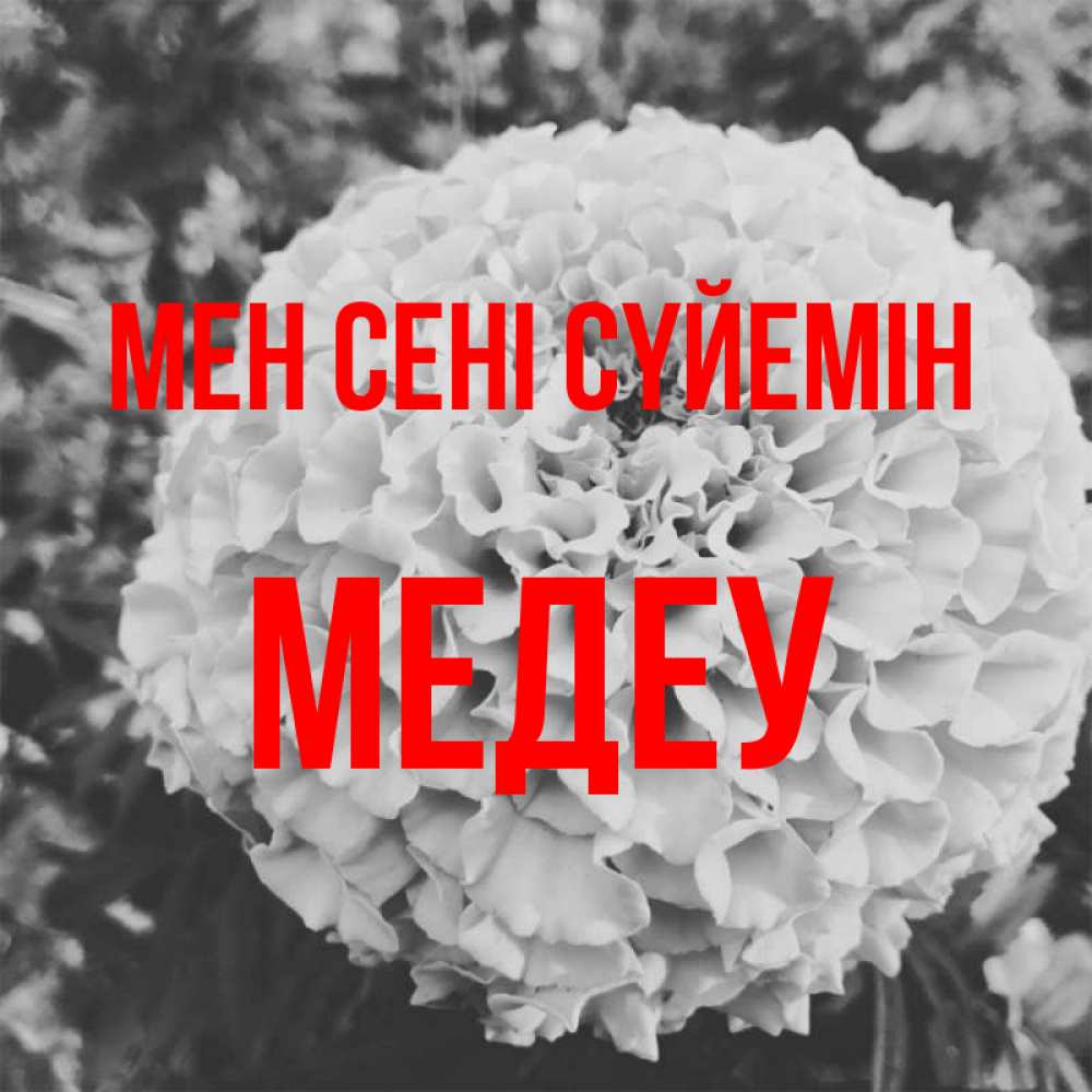Күн сайын ашық хат с именем, МЕДЕУ Мен сені сүйемін подпись Онлайн тегін жүктеп алу тілектері бар керемет карта 
