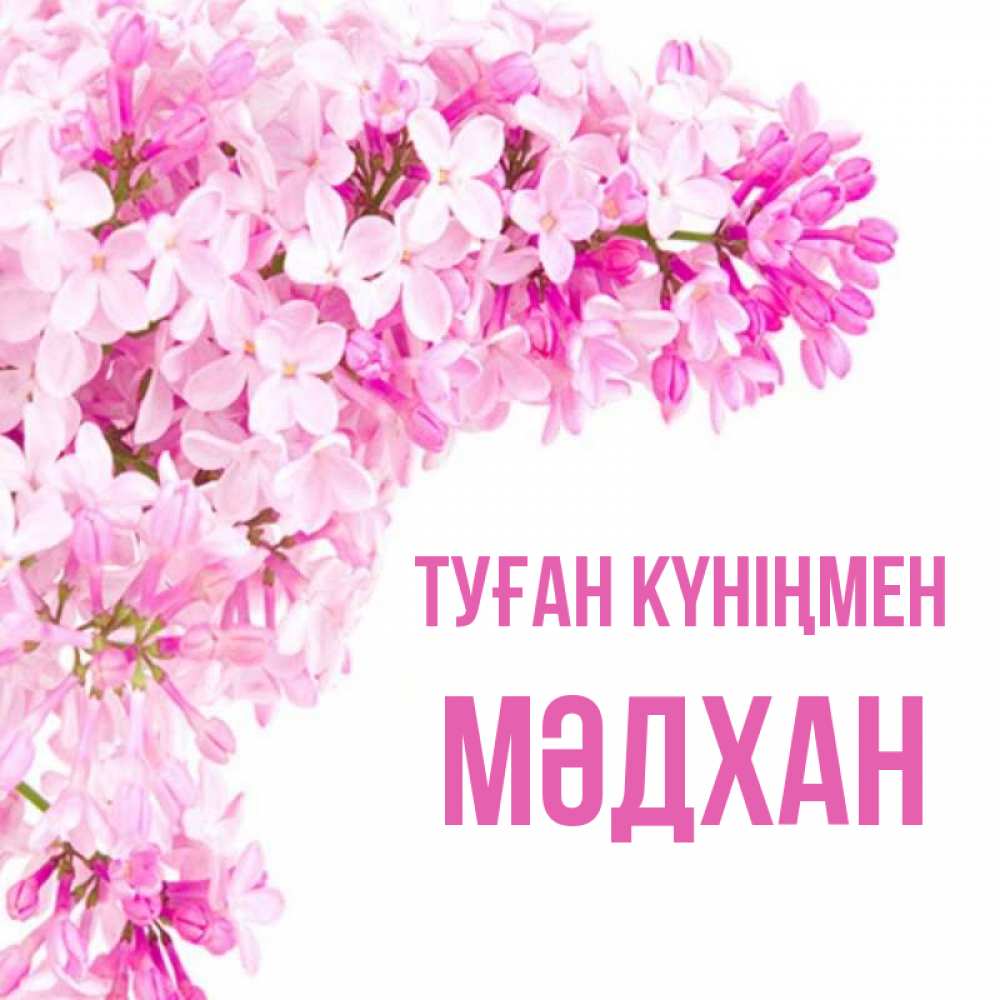 Күн сайын ашық хат с именем, МӘДХАН Туған күніңмен Сирень на белом фоне Онлайн тегін жүктеп алу тілектері бар керемет карта 