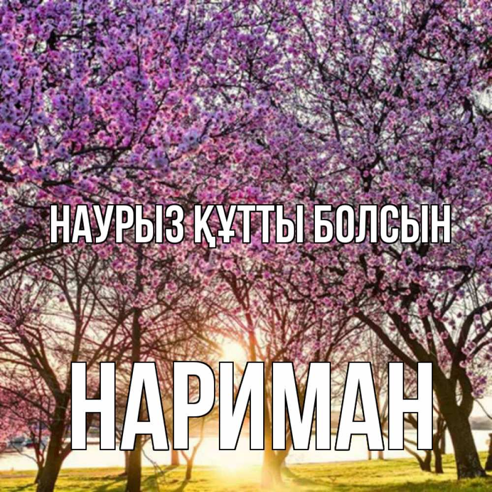 Күн сайын ашық хат с именем, НАРИМАН Наурыз құтты болсын наурыз Онлайн тегін жүктеп алу тілектері бар керемет карта 