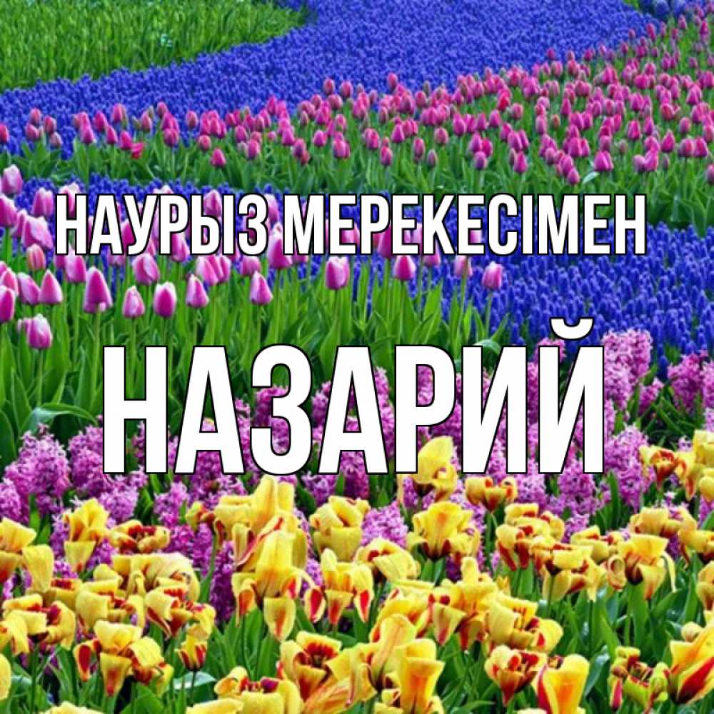 Күн сайын ашық хат с именем, Назарий Наурыз мерекесімен цветы Онлайн тегін жүктеп алу тілектері бар керемет карта 