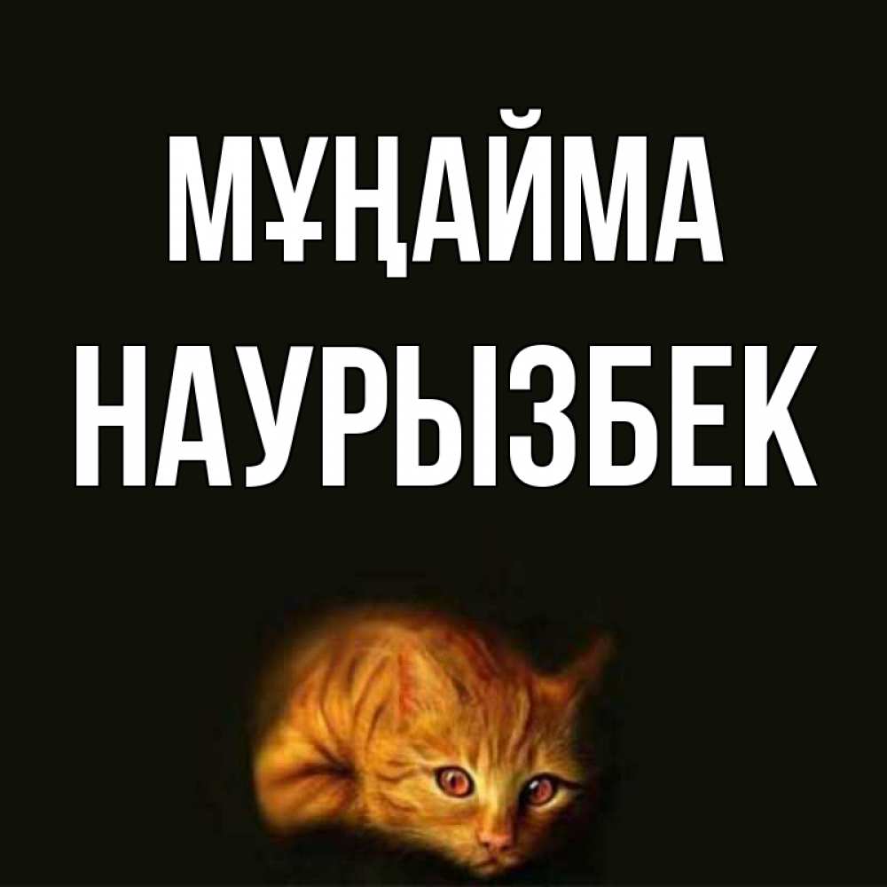 Күн сайын ашық хат с именем, Наурызбек Мұңайма лежащий кот в темноте Онлайн тегін жүктеп алу тілектері бар керемет карта 