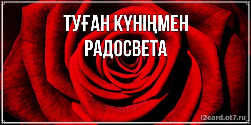 Күн сайын ашық хат с именем, Радосвета Туған күніңмен алая роза Онлайн тегін жүктеп алу тілектері бар керемет карта 