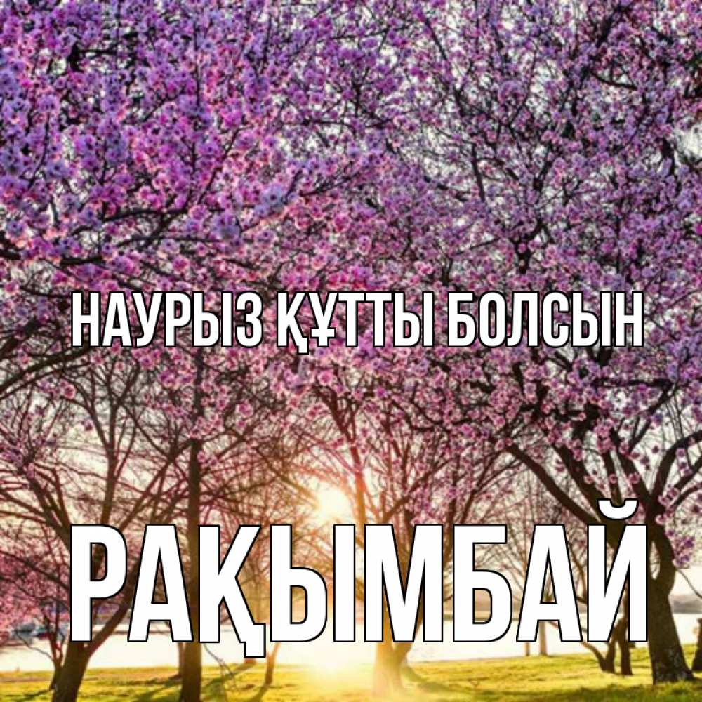 Күн сайын ашық хат с именем, Рақымбай Наурыз құтты болсын наурыз Онлайн тегін жүктеп алу тілектері бар керемет карта 