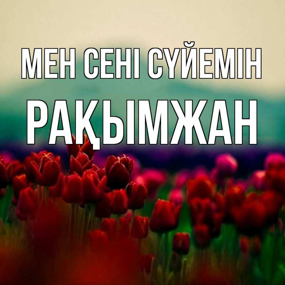 Күн сайын ашық хат с именем, Рақымжан Мен сені сүйемін тюльпаны 4 Онлайн тегін жүктеп алу тілектері бар керемет карта 