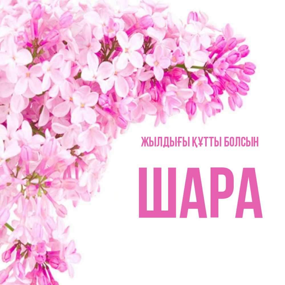 Күн сайын ашық хат с именем, ШАРА Жылдығы құтты болсын Сирень на белом фоне Онлайн тегін жүктеп алу тілектері бар керемет карта 
