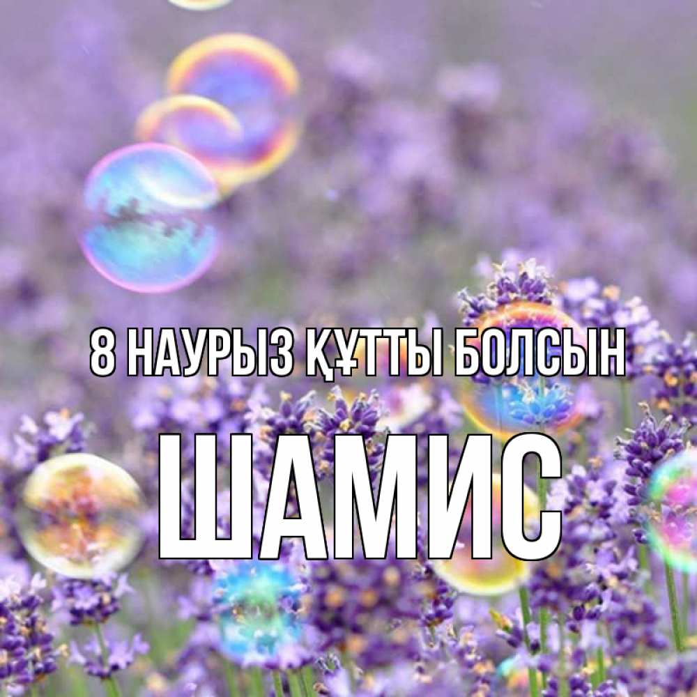 Күн сайын ашық хат с именем, ШАМИС 8 наурыз құтты болсын цветы Онлайн тегін жүктеп алу тілектері бар керемет карта 
