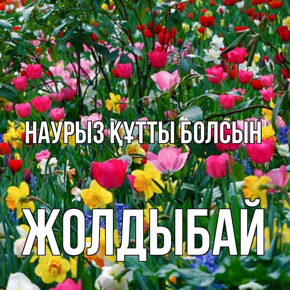 Күн сайын ашық хат с именем, Жолдыбай Наурыз құтты болсын с наурызом поздравления для женщины Онлайн тегін жүктеп алу тілектері бар керемет карта 