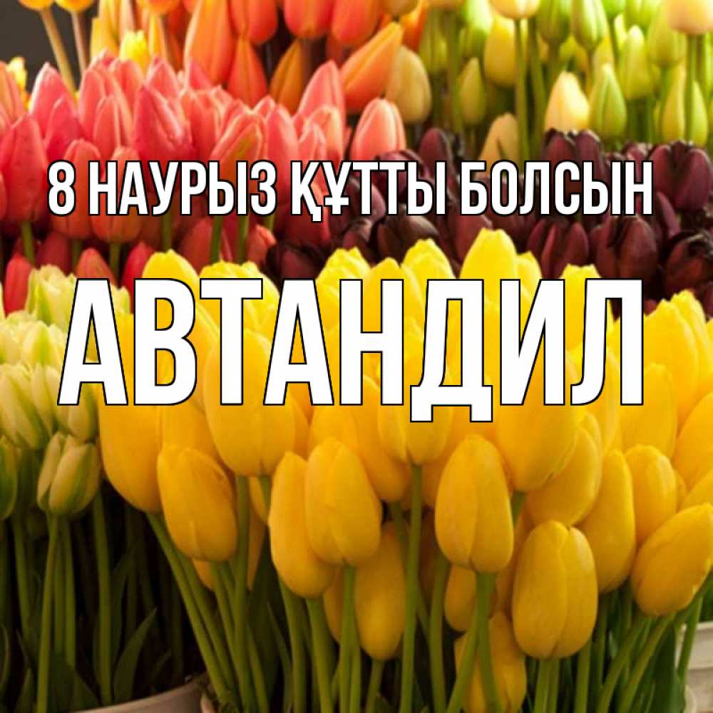 Күн сайын ашық хат с именем, Автандил 8 наурыз құтты болсын цветы Онлайн тегін жүктеп алу тілектері бар керемет карта 