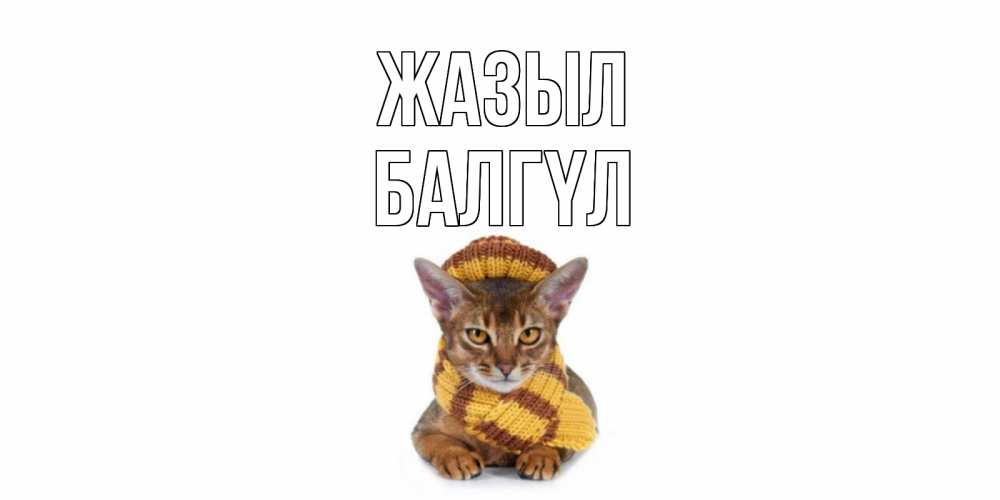 Күн сайын ашық хат с именем, БАЛГҮЛ Жазыл родные не болейте Онлайн тегін жүктеп алу тілектері бар керемет карта 