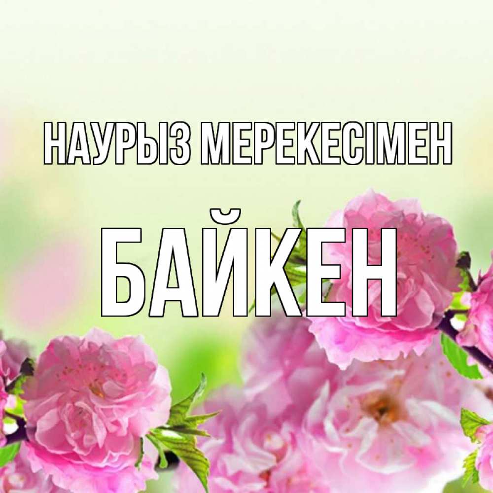 Күн сайын ашық хат с именем, Байкен Наурыз мерекесімен цветы Онлайн тегін жүктеп алу тілектері бар керемет карта 
