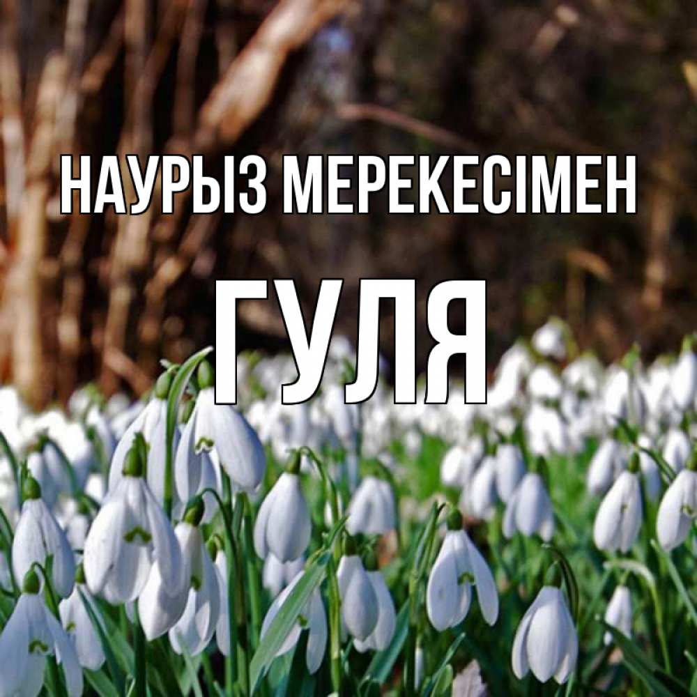 Күн сайын ашық хат с именем, Гуля Наурыз мерекесімен с подснежниками 1 Онлайн тегін жүктеп алу тілектері бар керемет карта 