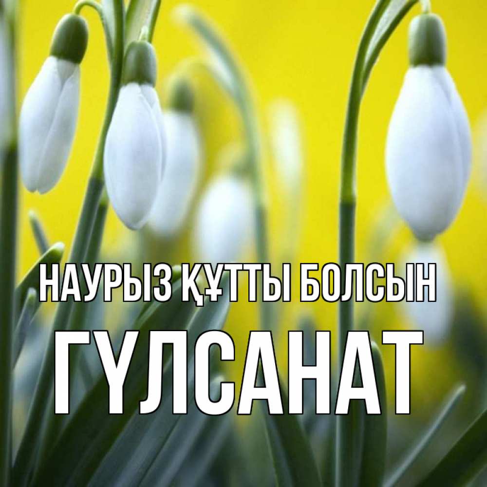 Күн сайын ашық хат с именем, ГҮЛСАНАТ Наурыз құтты болсын весенние цветы Онлайн тегін жүктеп алу тілектері бар керемет карта 