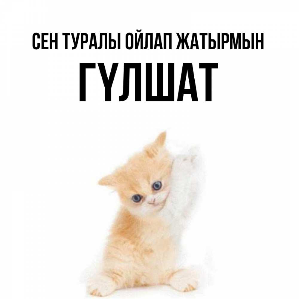 Күн сайын ашық хат с именем, ГҮЛШАТ Сен туралы ойлап жатырмын зверушки и милота Онлайн тегін жүктеп алу тілектері бар керемет карта 