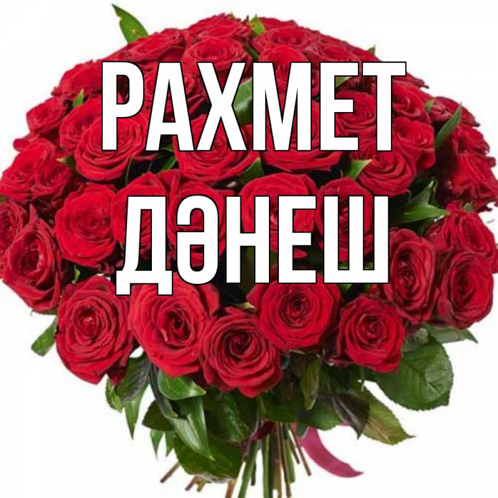 Күн сайын ашық хат с именем, ДӘНЕШ рахмет букет красных роз Онлайн тегін жүктеп алу тілектері бар керемет карта 