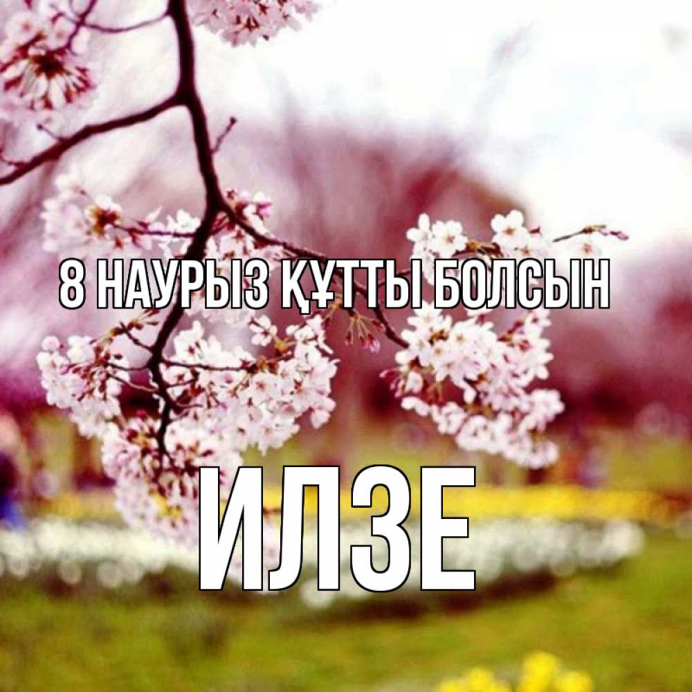 Күн сайын ашық хат с именем, Илзе 8 наурыз құтты болсын яблоня Онлайн тегін жүктеп алу тілектері бар керемет карта 