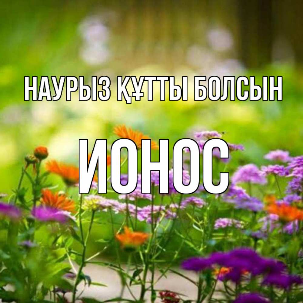 Күн сайын ашық хат с именем, Ионос Наурыз құтты болсын цветы Онлайн тегін жүктеп алу тілектері бар керемет карта 