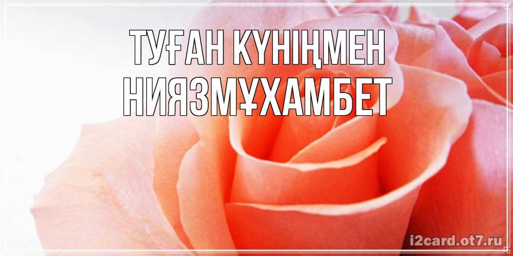 Күн сайын ашық хат с именем, НИЯЗМҰХАМБЕТ Туған күніңмен розы для поздравления с днем рождения Онлайн тегін жүктеп алу тілектері бар керемет карта 