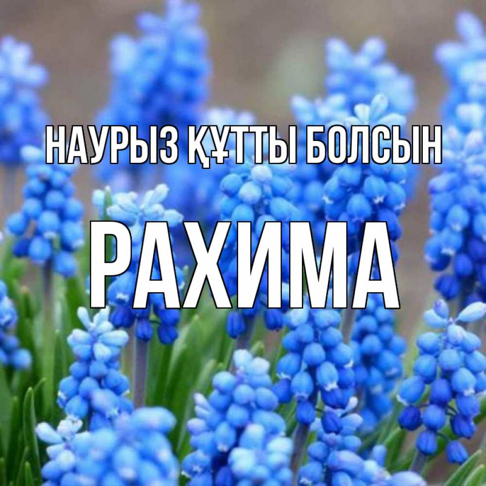 Күн сайын ашық хат с именем, РАХИМА Наурыз құтты болсын Поздравительная открытка для женщин с цветами на праздничную дату Онлайн тегін жүктеп алу тілектері бар керемет карта 