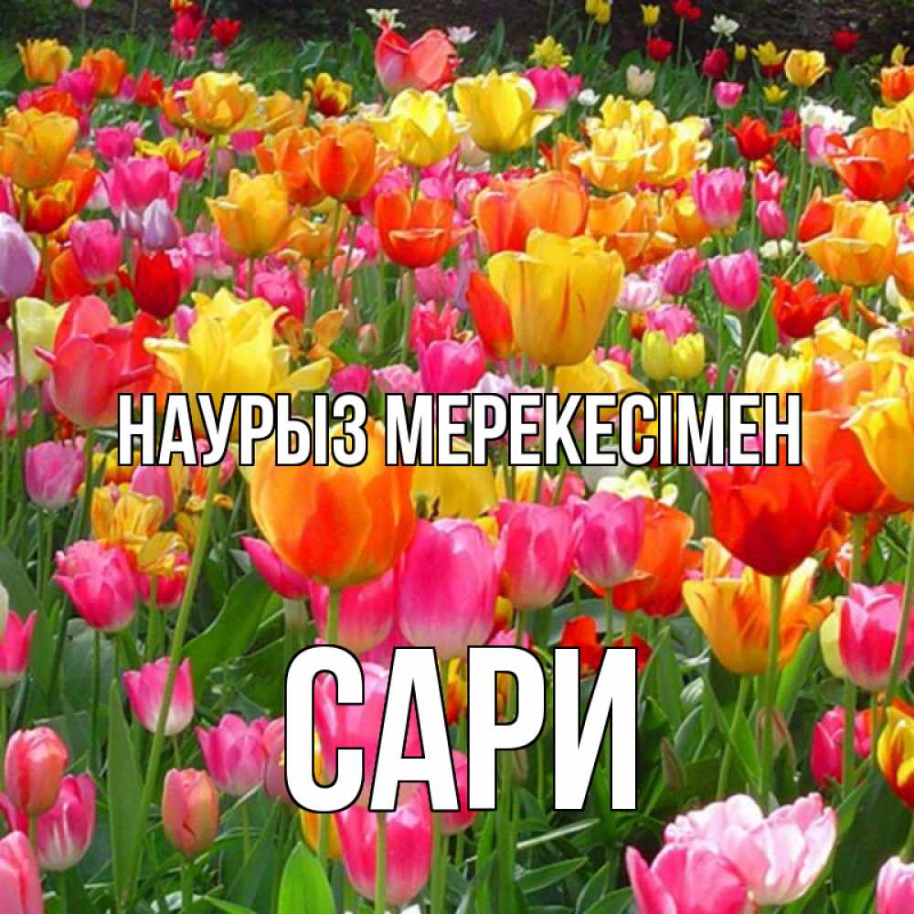 Күн сайын ашық хат с именем, САРИ Наурыз мерекесімен праздник весны наурыз 4 Онлайн тегін жүктеп алу тілектері бар керемет карта 