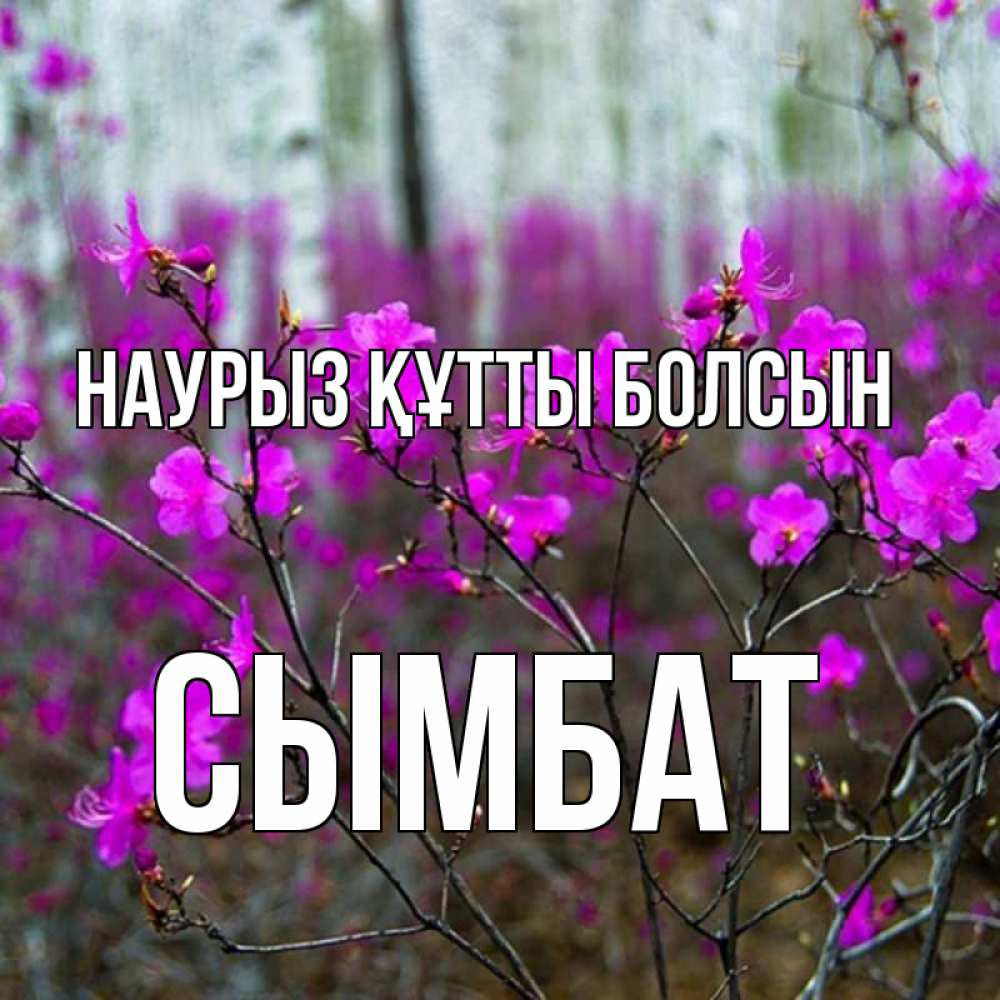Күн сайын ашық хат с именем, СЫМБАТ Наурыз құтты болсын дикие цветы Онлайн тегін жүктеп алу тілектері бар керемет карта 