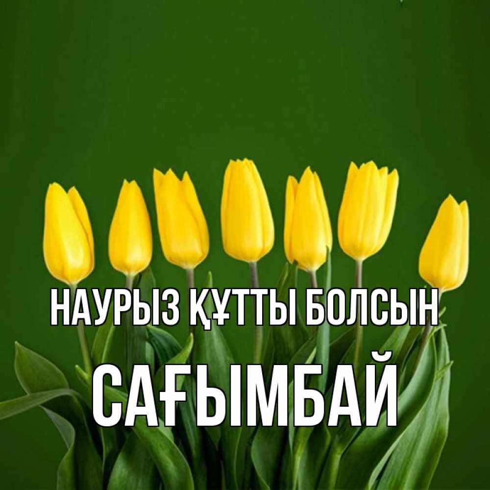 Күн сайын ашық хат с именем, Сағымбай Наурыз құтты болсын желтого цвета 3 Онлайн тегін жүктеп алу тілектері бар керемет карта 