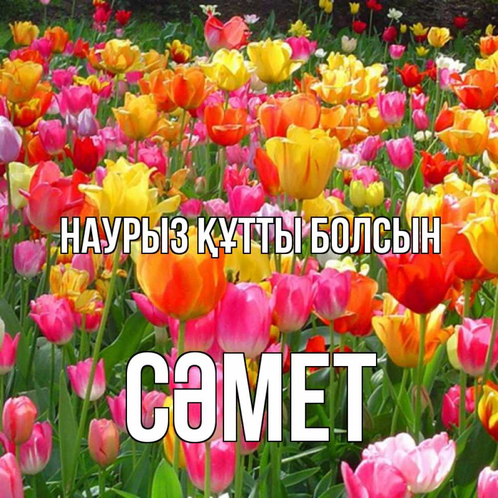 Күн сайын ашық хат с именем, СӘМЕТ Наурыз құтты болсын на наурыз  ура ура Онлайн тегін жүктеп алу тілектері бар керемет карта 