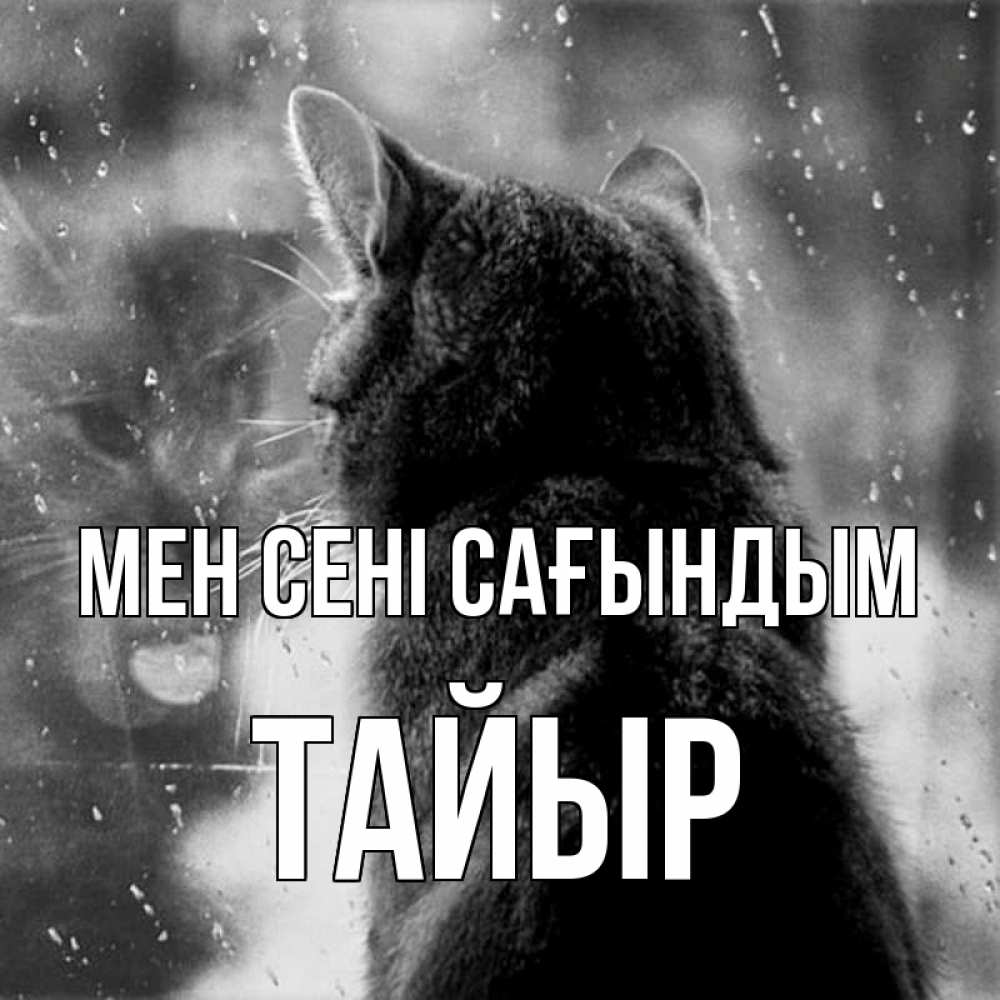 Күн сайын ашық хат с именем, ТАЙЫР Мен сені сағындым скорее ко мне приходи 1 Онлайн тегін жүктеп алу тілектері бар керемет карта 