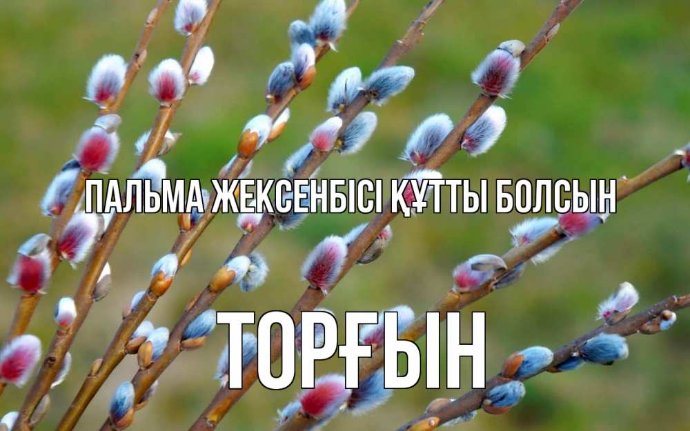 Күн сайын ашық хат с именем, ТОРҒЫН Пальма жексенбісі құтты болсын верба Онлайн тегін жүктеп алу тілектері бар керемет карта 