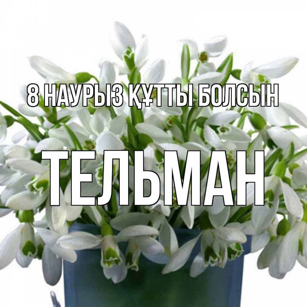 Күн сайын ашық хат с именем, Тельман 8 наурыз құтты болсын цветы к международному женскому дню Онлайн тегін жүктеп алу тілектері бар керемет карта 