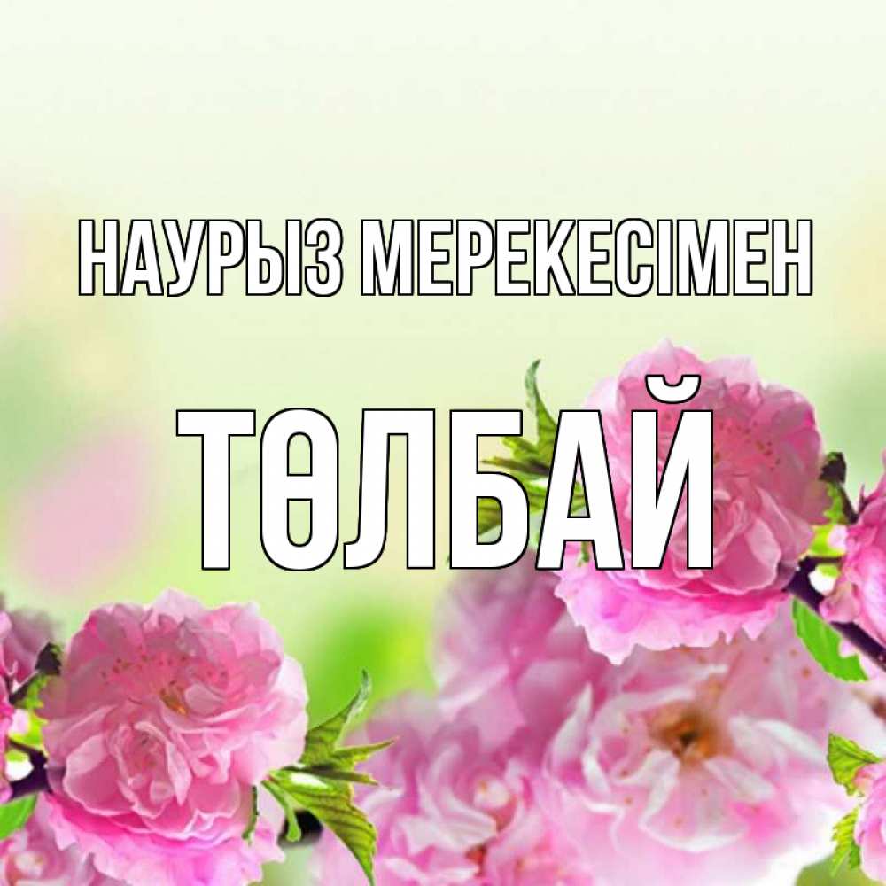 Күн сайын ашық хат с именем, ТӨЛБАЙ Наурыз мерекесімен цветы Онлайн тегін жүктеп алу тілектері бар керемет карта 