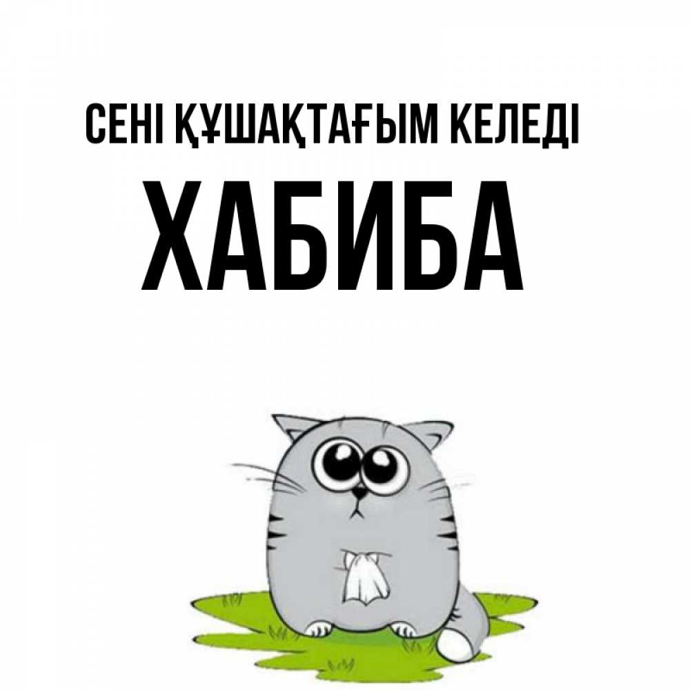 Күн сайын ашық хат с именем, ХАБИБА сені құшақтағым келеді котик теребит платочек сидя на травке Онлайн тегін жүктеп алу тілектері бар керемет карта 