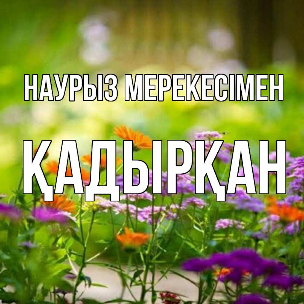 Күн сайын ашық хат с именем, Қадырқан Наурыз мерекесімен цветы Онлайн тегін жүктеп алу тілектері бар керемет карта 