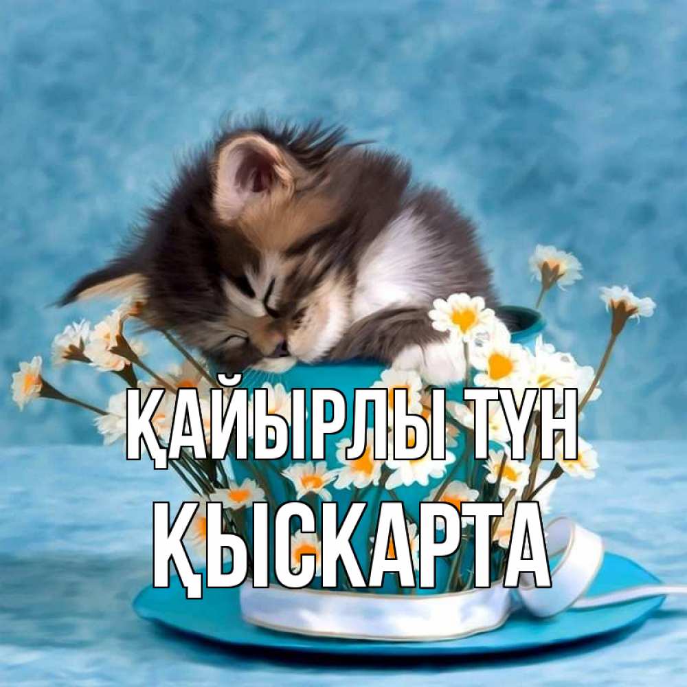 Күн сайын ашық хат с именем, Қыскарта Қайырлы түн котенок спит в кружке с блюдцем Онлайн тегін жүктеп алу тілектері бар керемет карта 