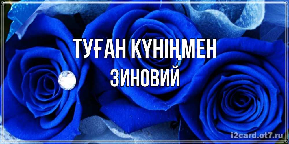 Күн сайын ашық хат с именем, Зиновий Туған күніңмен синие розы в росе Онлайн тегін жүктеп алу тілектері бар керемет карта 
