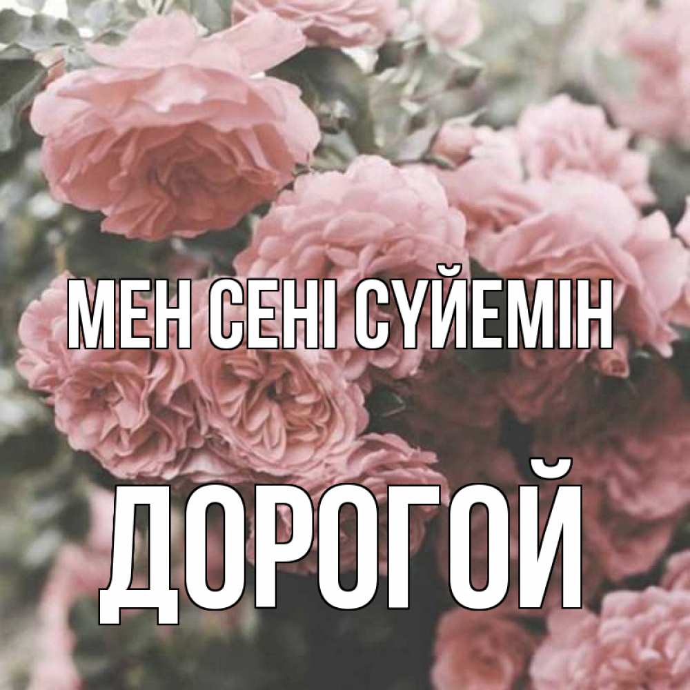Күн сайын ашық хат с именем, Дорогой Мен сені сүйемін розы 3 Онлайн тегін жүктеп алу тілектері бар керемет карта 