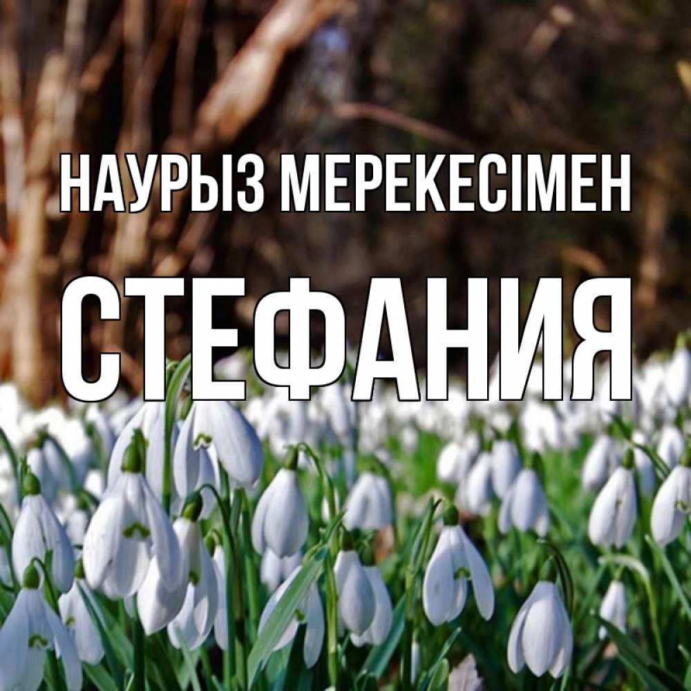 Күн сайын ашық хат с именем, Стефания Наурыз мерекесімен с подснежниками 1 Онлайн тегін жүктеп алу тілектері бар керемет карта 
