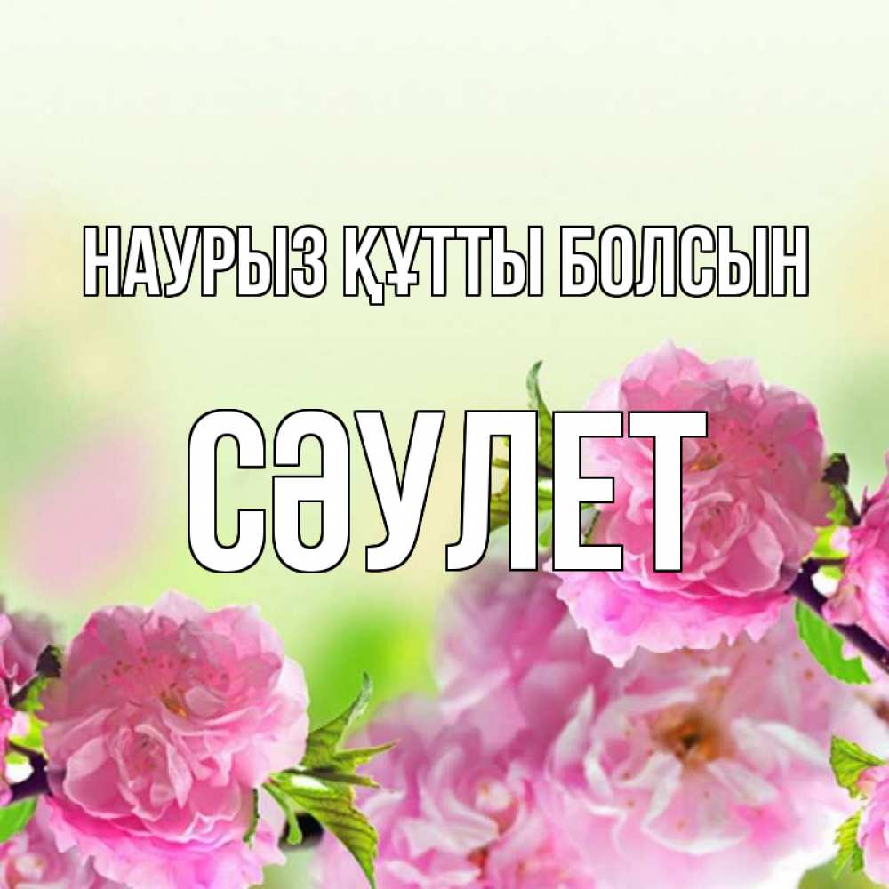 Күн сайын ашық хат с именем, СӘУЛЕТ Наурыз құтты болсын цветы Онлайн тегін жүктеп алу тілектері бар керемет карта 