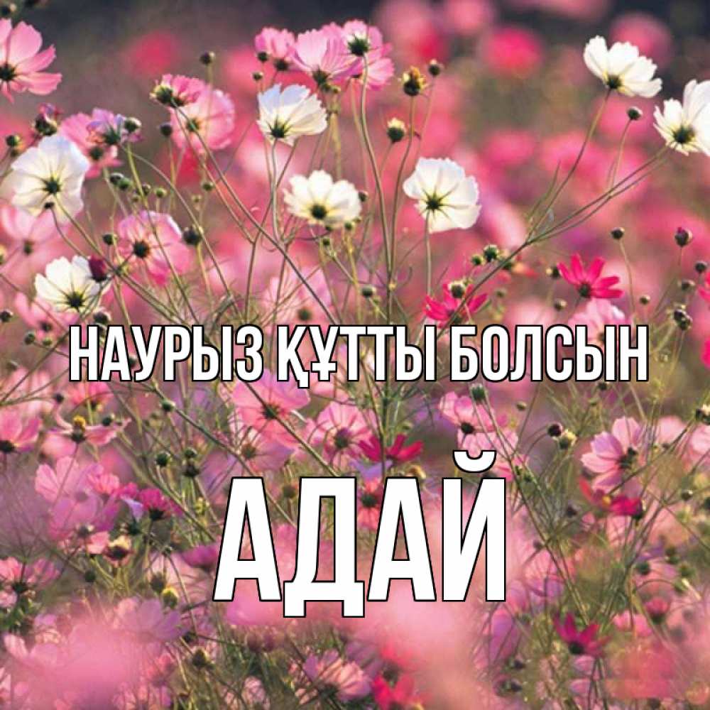 Күн сайын ашық хат с именем, Адай Наурыз құтты болсын красиво 1 Онлайн тегін жүктеп алу тілектері бар керемет карта 