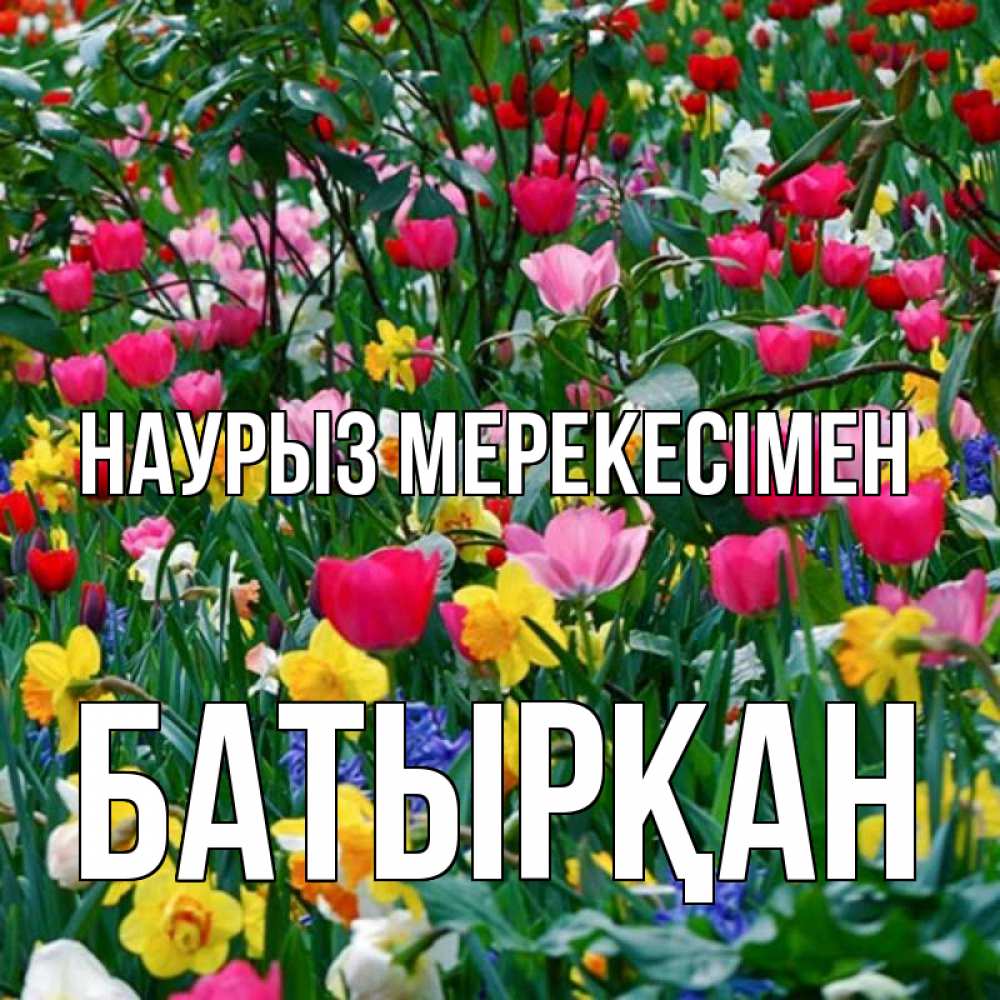 Күн сайын ашық хат с именем, Батырқан Наурыз мерекесімен с наурызом праздником весны поздравления для женщины Онлайн тегін жүктеп алу тілектері бар керемет карта 