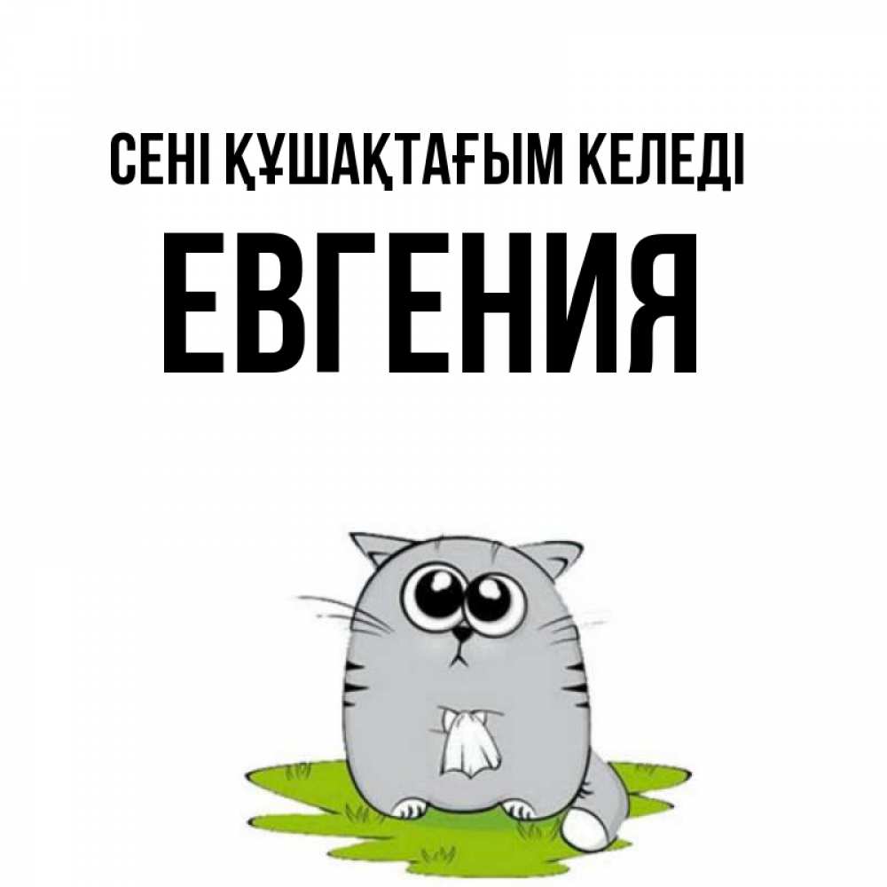 Күн сайын ашық хат с именем, Евгения сені құшақтағым келеді котик теребит платочек сидя на травке Онлайн тегін жүктеп алу тілектері бар керемет карта 