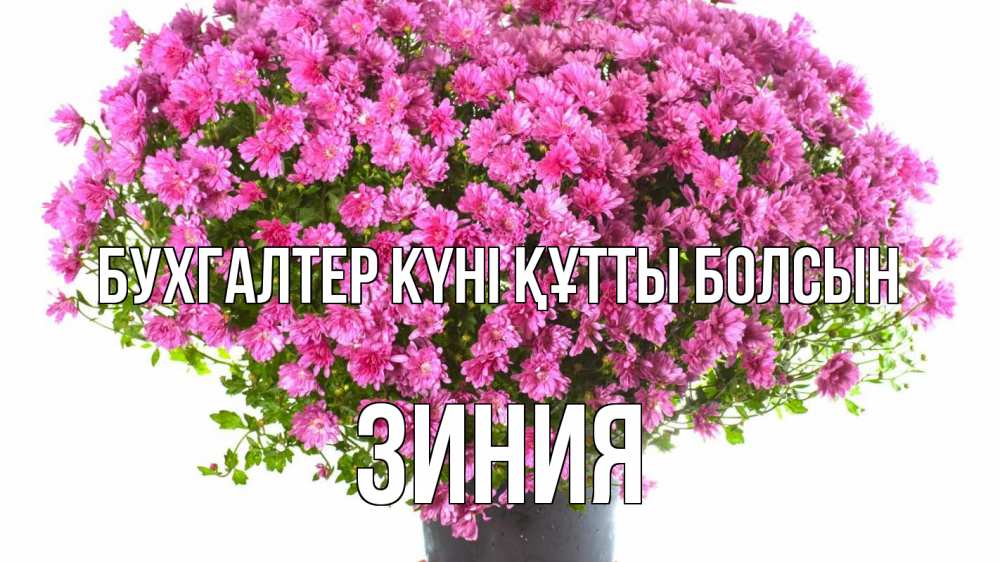 Күн сайын ашық хат с именем, ЗИНИЯ бухгалтер күні құтты болсын с днем бухгалтера Онлайн тегін жүктеп алу тілектері бар керемет карта 
