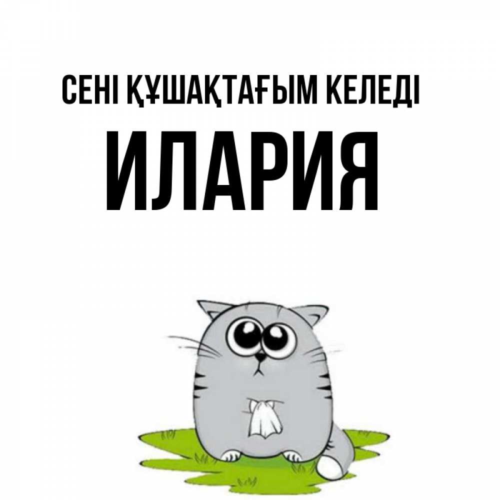 Күн сайын ашық хат с именем, Илария сені құшақтағым келеді котик теребит платочек сидя на травке Онлайн тегін жүктеп алу тілектері бар керемет карта 