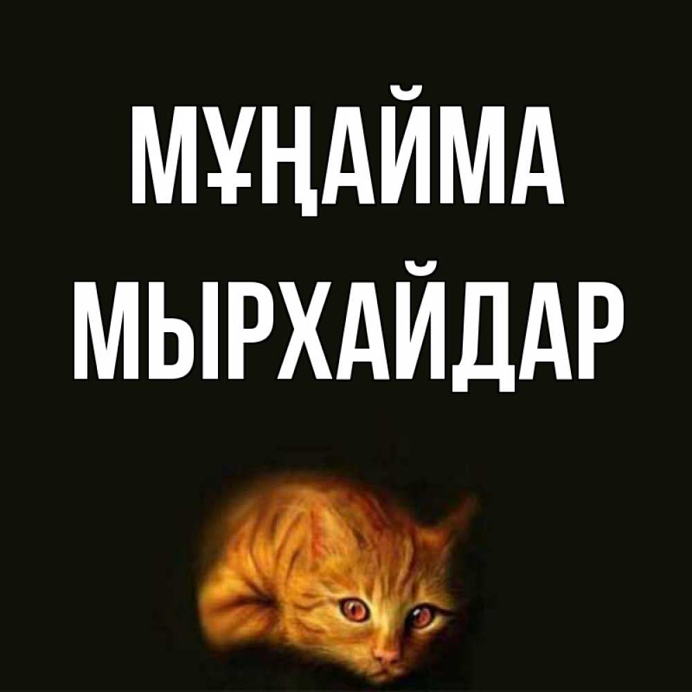 Күн сайын ашық хат с именем, МЫРХАЙДАР Мұңайма лежащий кот в темноте Онлайн тегін жүктеп алу тілектері бар керемет карта 