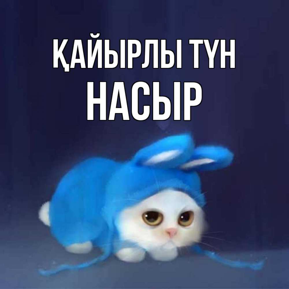 Күн сайын ашық хат с именем, НАСЫР Қайырлы түн кот в голубом костюме кролика с ушками Онлайн тегін жүктеп алу тілектері бар керемет карта 