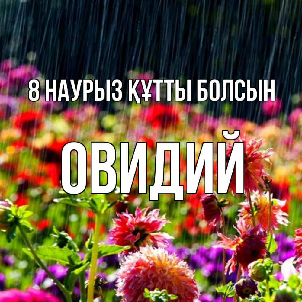 Күн сайын ашық хат с именем, Овидий 8 наурыз құтты болсын цветы под дождиком к международному женскому дню Онлайн тегін жүктеп алу тілектері бар керемет карта 