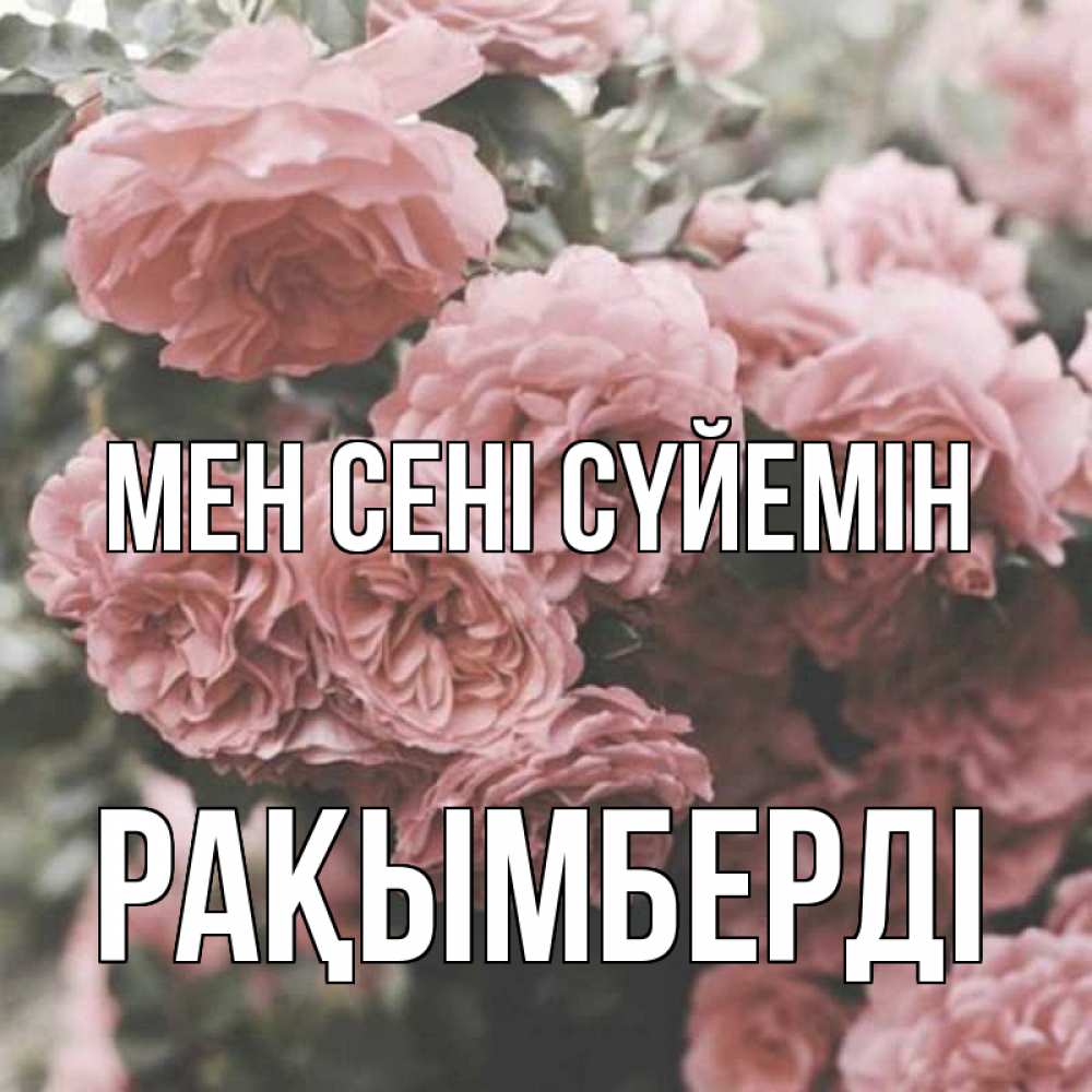 Күн сайын ашық хат с именем, Рақымберді Мен сені сүйемін розы 3 Онлайн тегін жүктеп алу тілектері бар керемет карта 