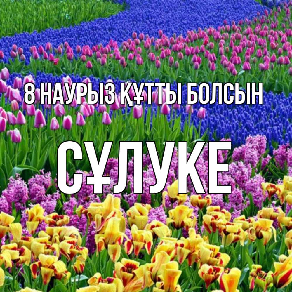 Күн сайын ашық хат с именем, СҰЛУКЕ 8 наурыз құтты болсын цветы Онлайн тегін жүктеп алу тілектері бар керемет карта 